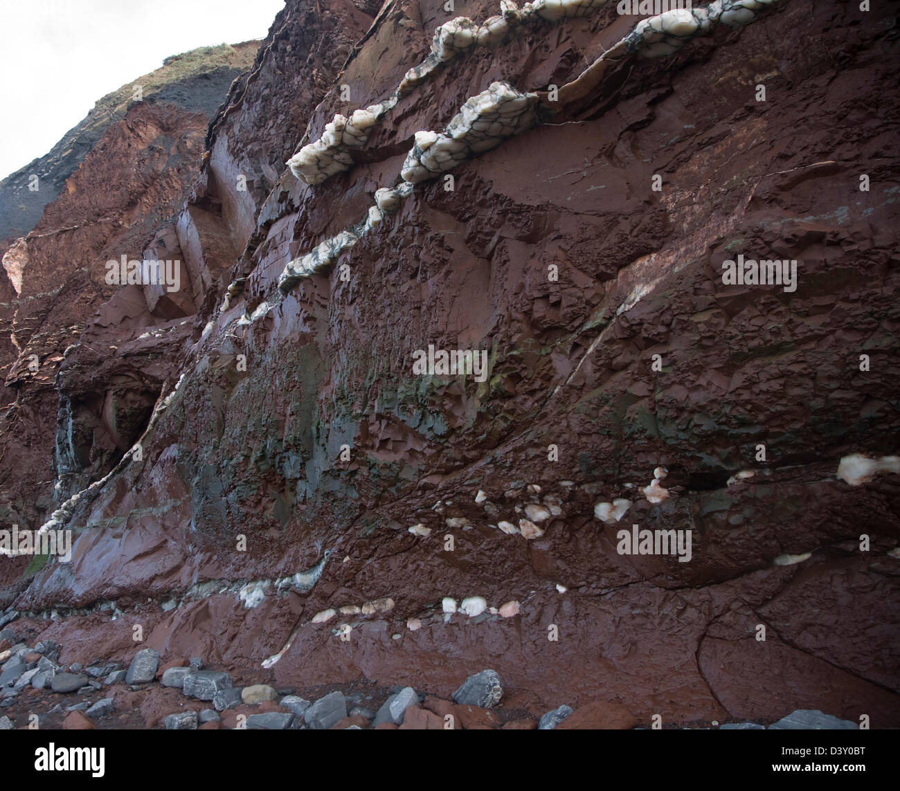 Veins of gypsum in Lower Lias rocks Watchet, Somerset, England Stock Photo