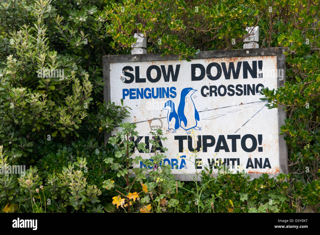 Penguin crossing warning sign near breaker Bay, New Zealand Stock Photo