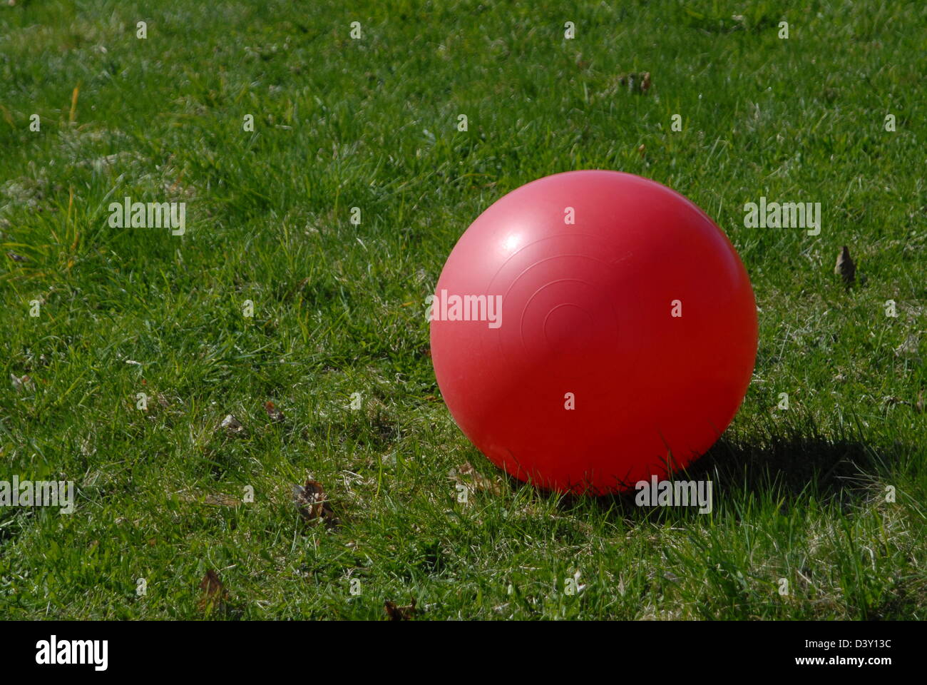 Red ball in green grass. Stock Photo