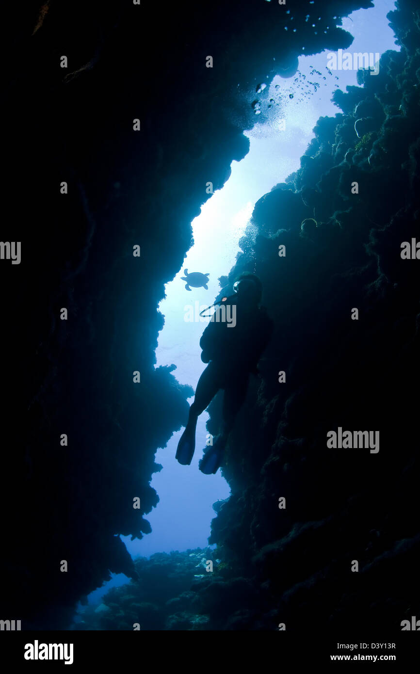 Cave diver hi-res stock photography and images - Alamy