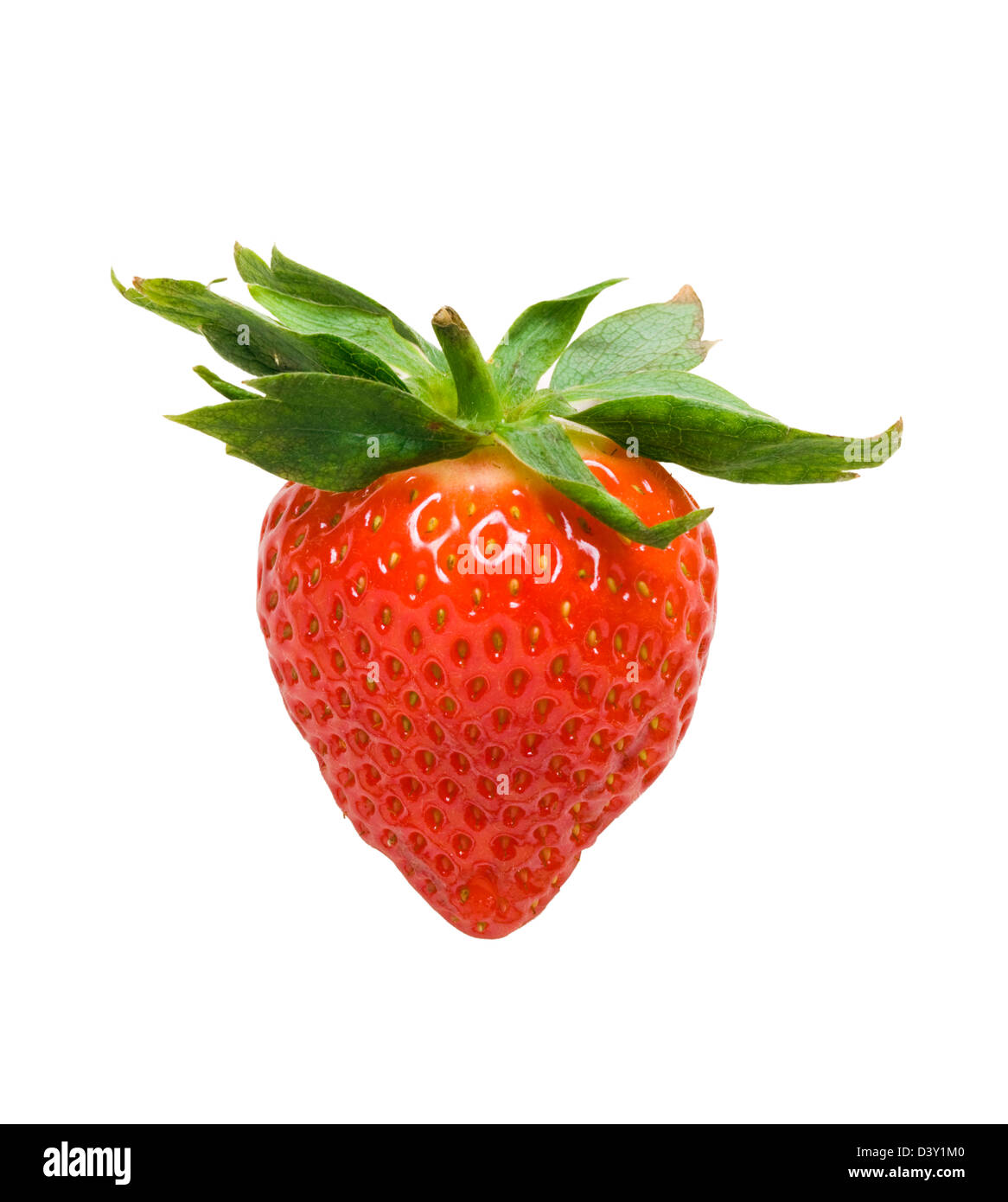 Strawberry. Stock Photo