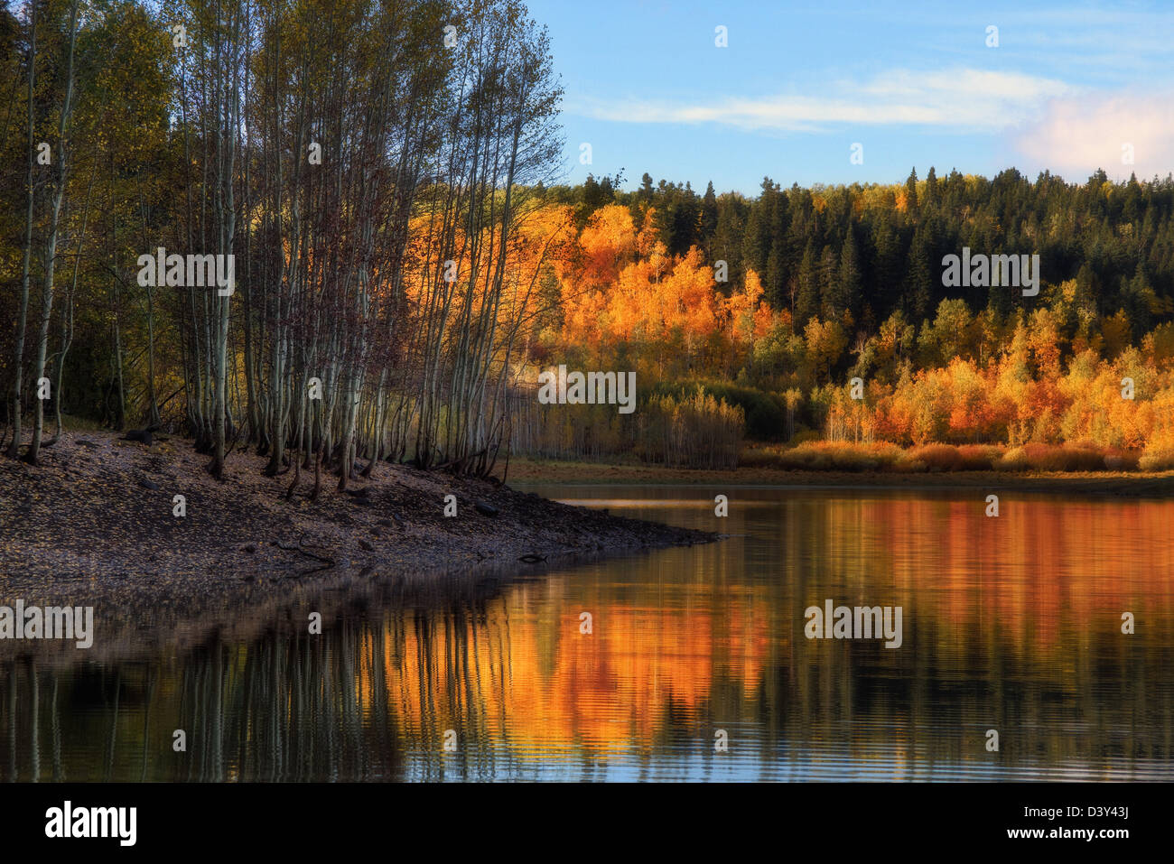 Quiet autumn morning at McLellan Lake on the Mt Nebo Scenic Byway in the Wasatch Mountains of northern Utah Stock Photo