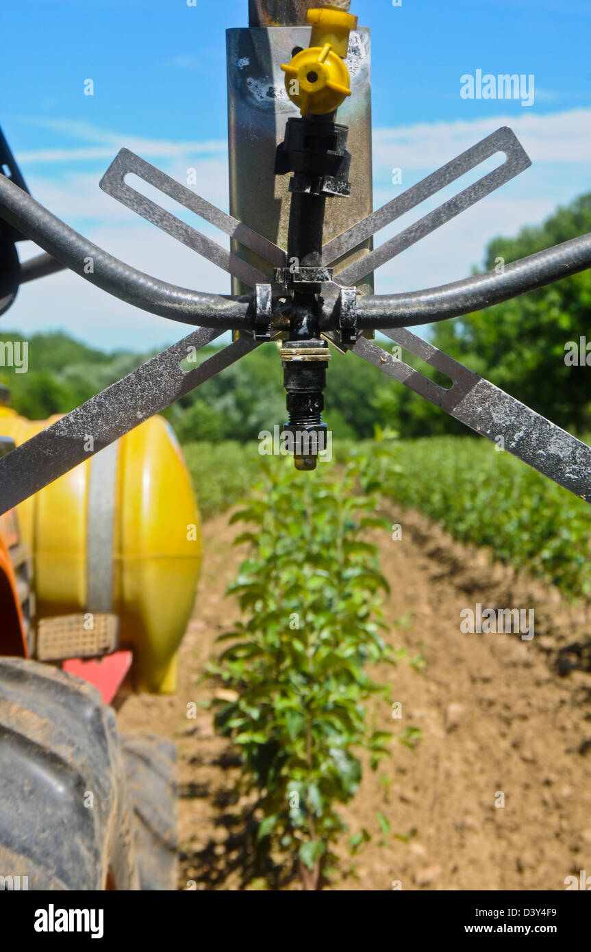 Spray rig for orchard spraying Stock Photo