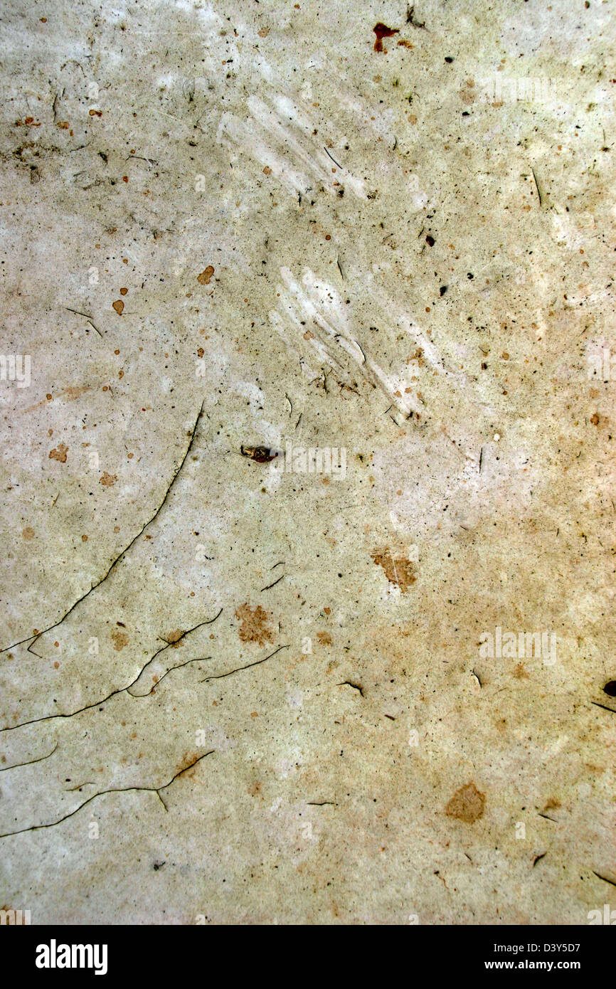 Grunge dirty surface with spots  Stock Photo
