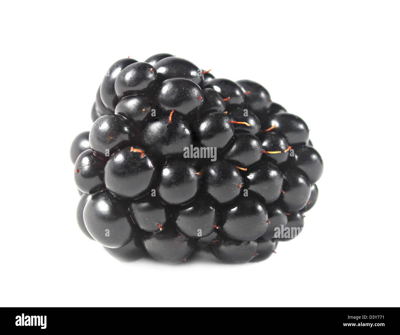 Ripe blackberry isolated on a white background Stock Photo