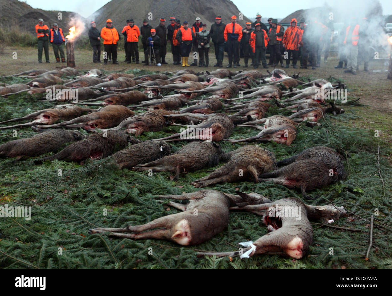 Lehnitz, Germany, the Jaeger look killed game on the ground Stock Photo