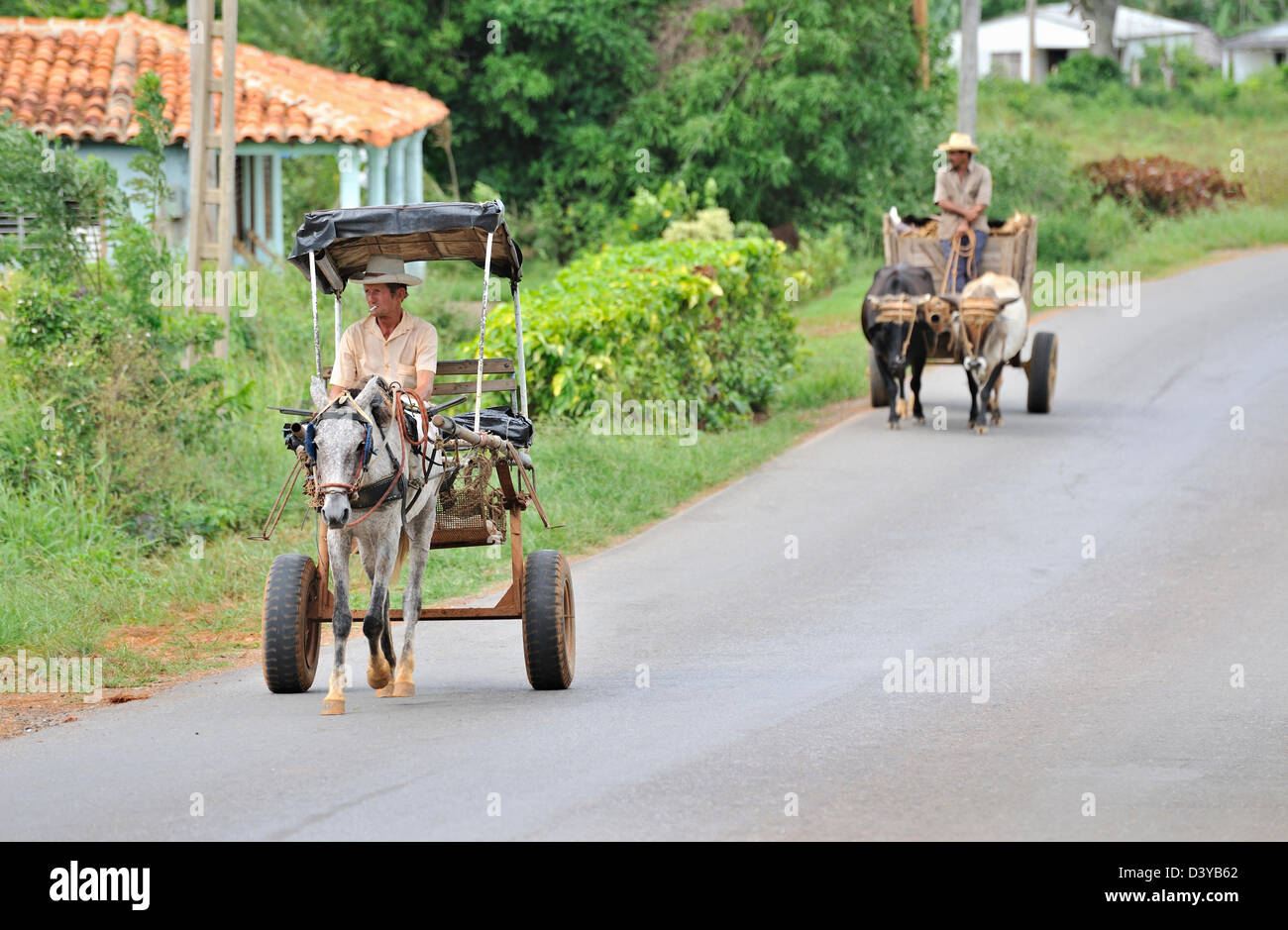 Ox drawn carriage hires stock photography and images Alamy