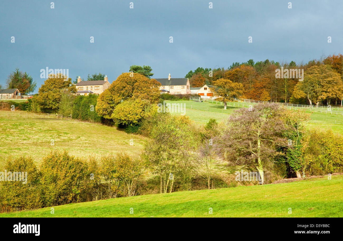 Cannock wood hires stock photography and images Alamy