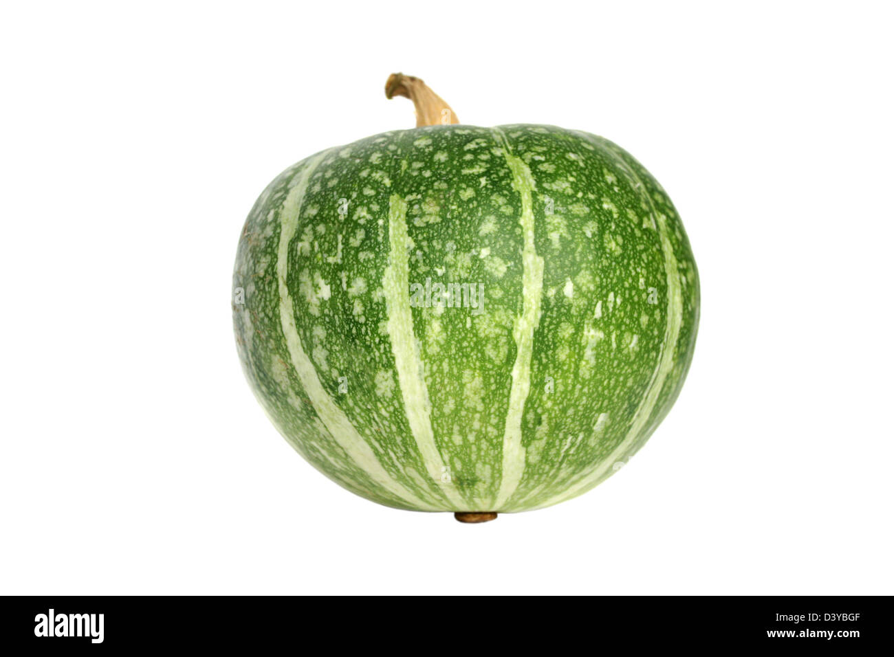 Green pumpkin isolated on white Stock Photo - Alamy