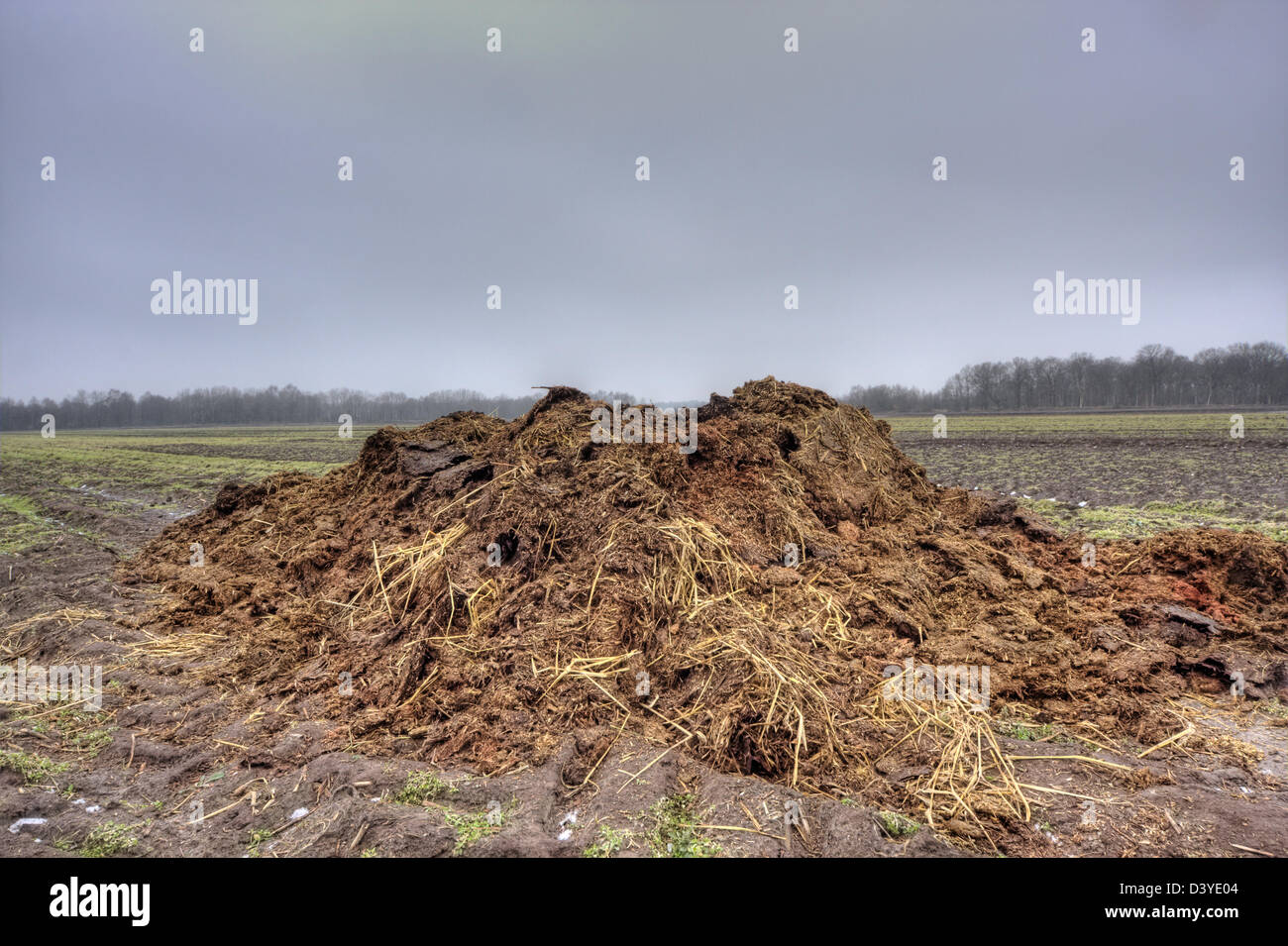 Heap of horse manure on a field Stock Photo