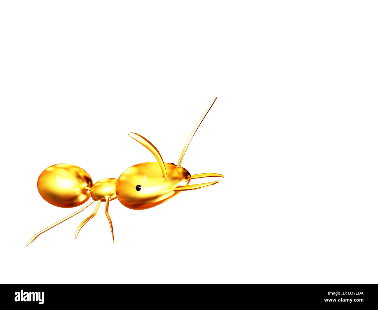 golden ant for adv or others purpose use Stock Photo