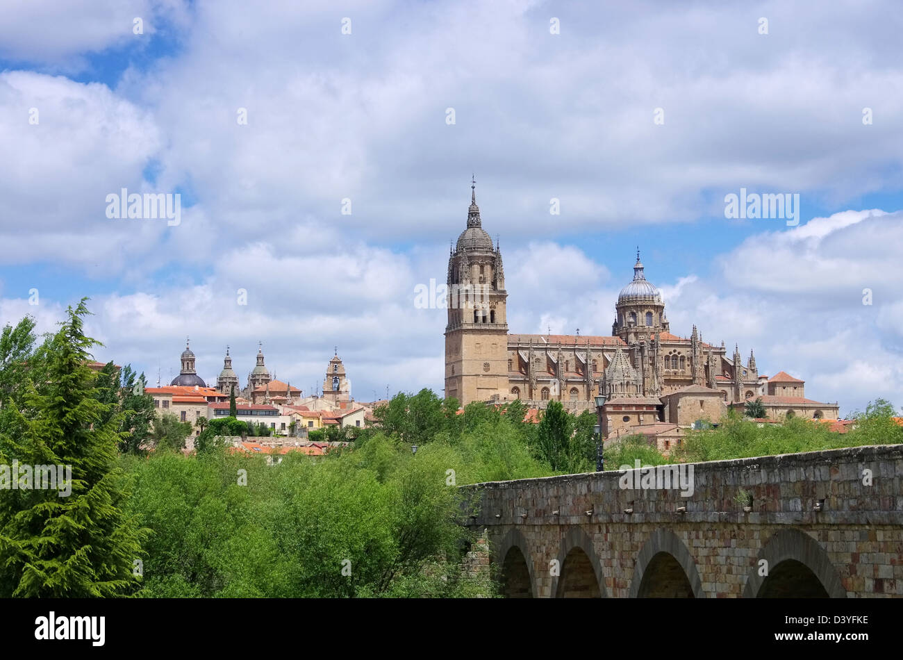 Salamanca Kathedrale 03 Stock Photo