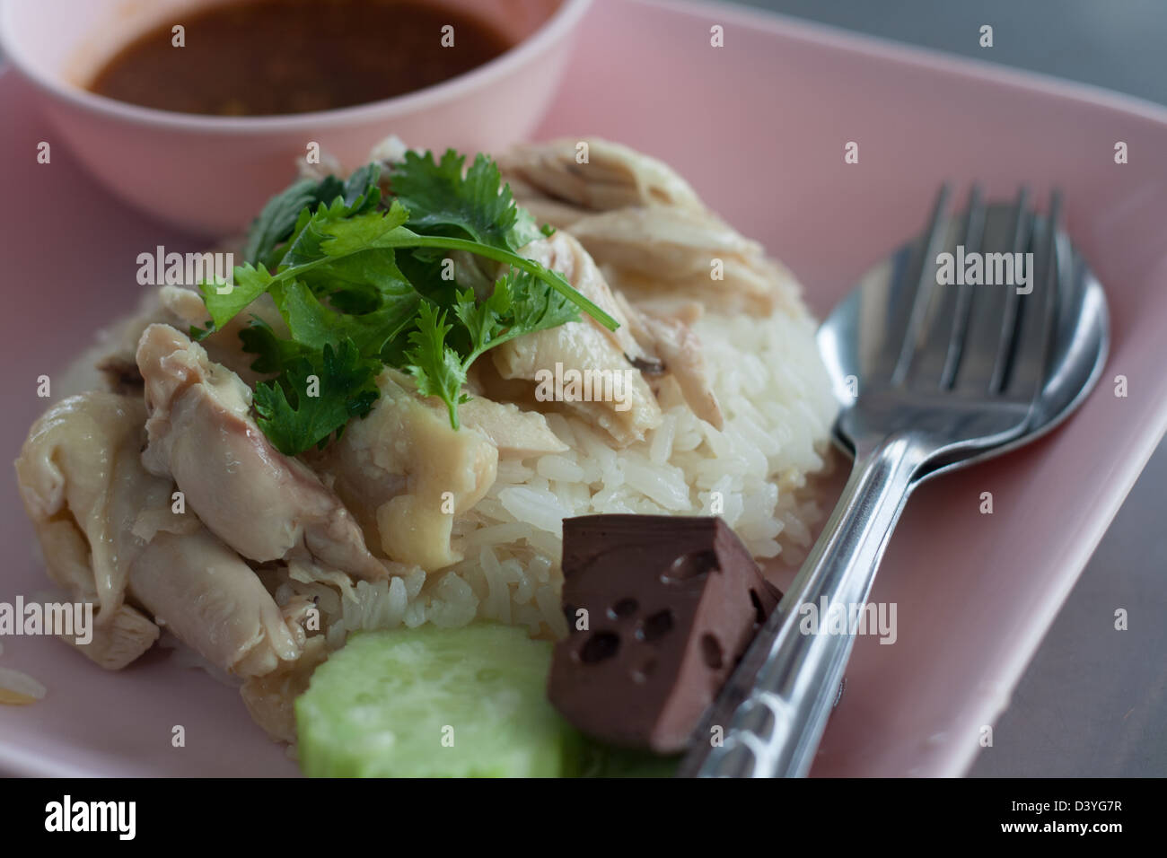 Rice steamed with chicken soup and sauce Stock Photo
