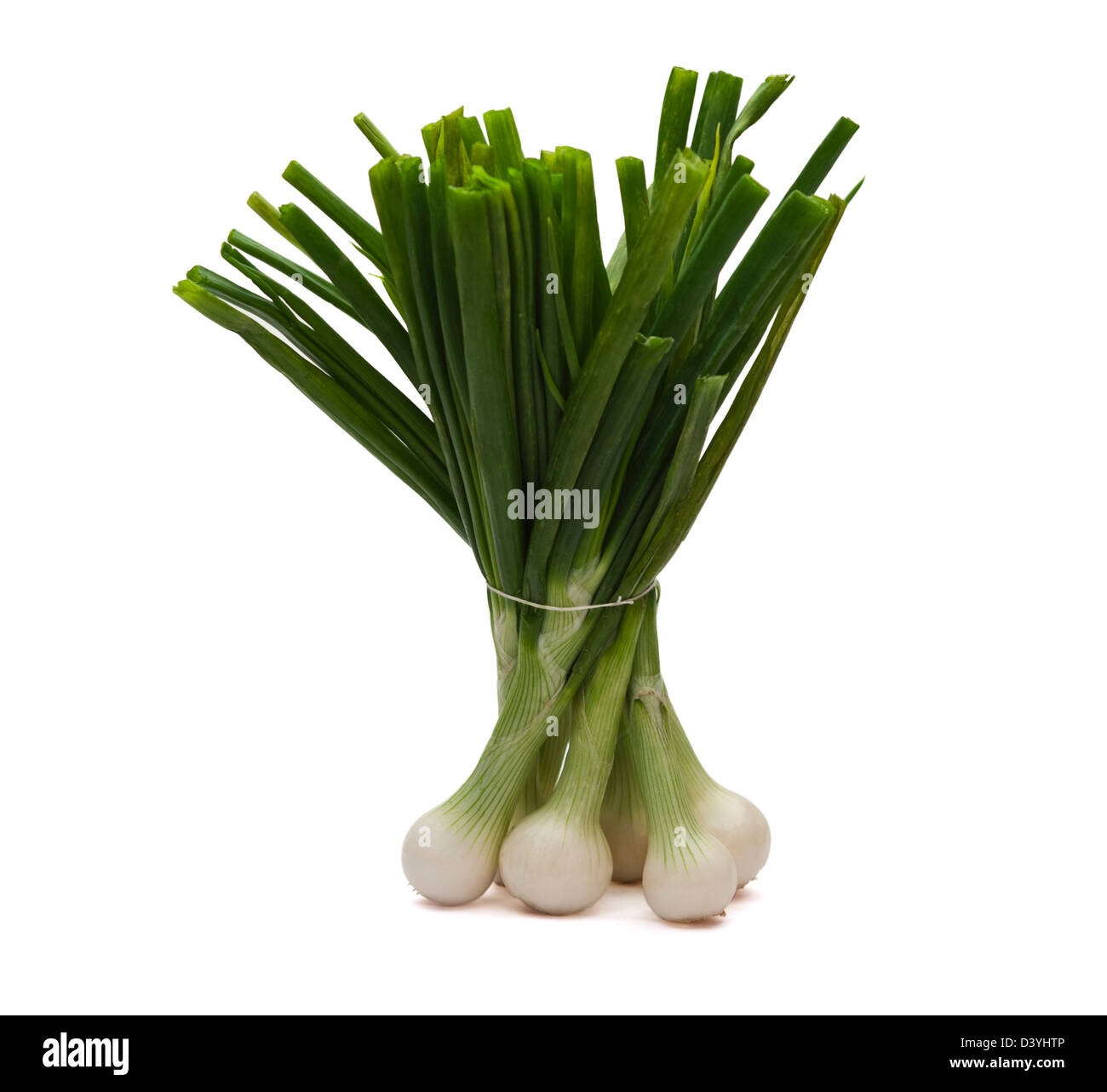 String Of Onions Cut Out Stock Images Pictures Alamy