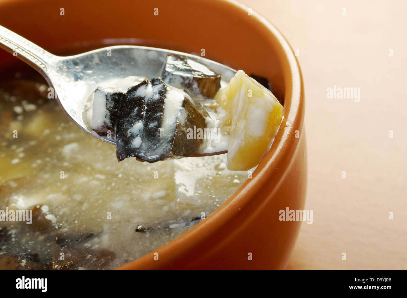 Russian sauerkraut soup with mushrooms and pearl barley.home made