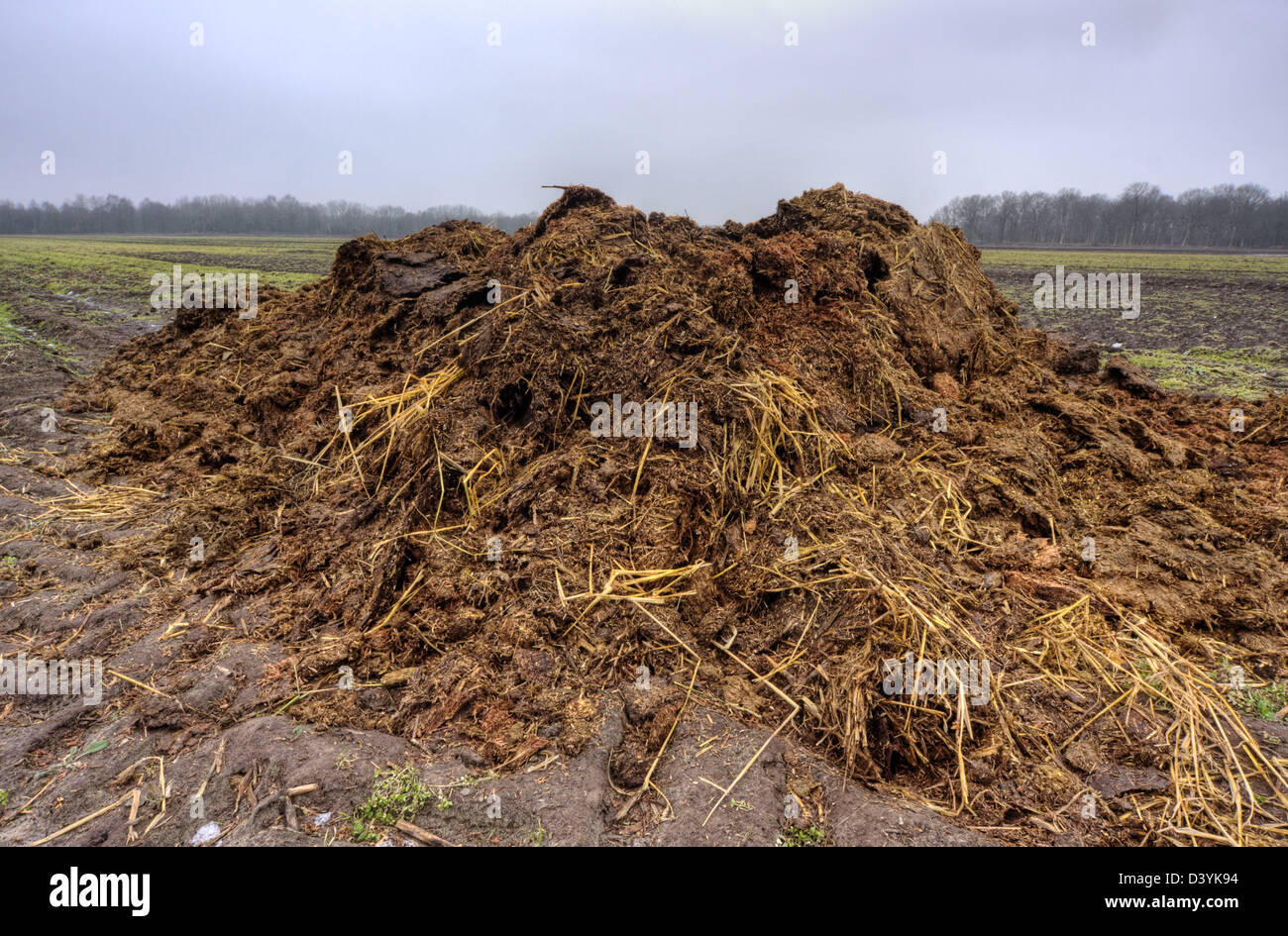 Heap of horse manure on a field Stock Photo