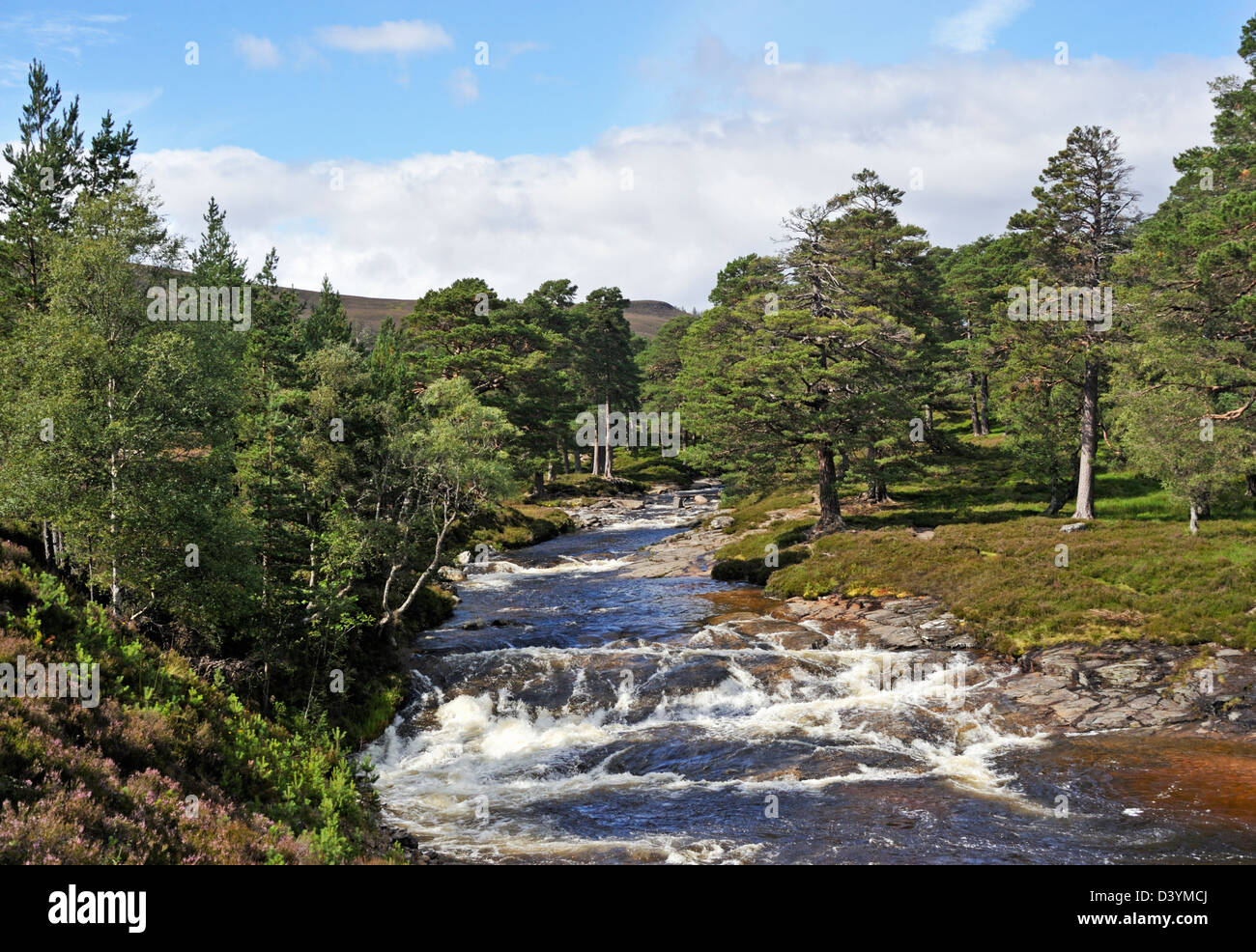 The River Dee. Mar Lodge Estate, Braemar, Royal Deeside, Aberdeenshire