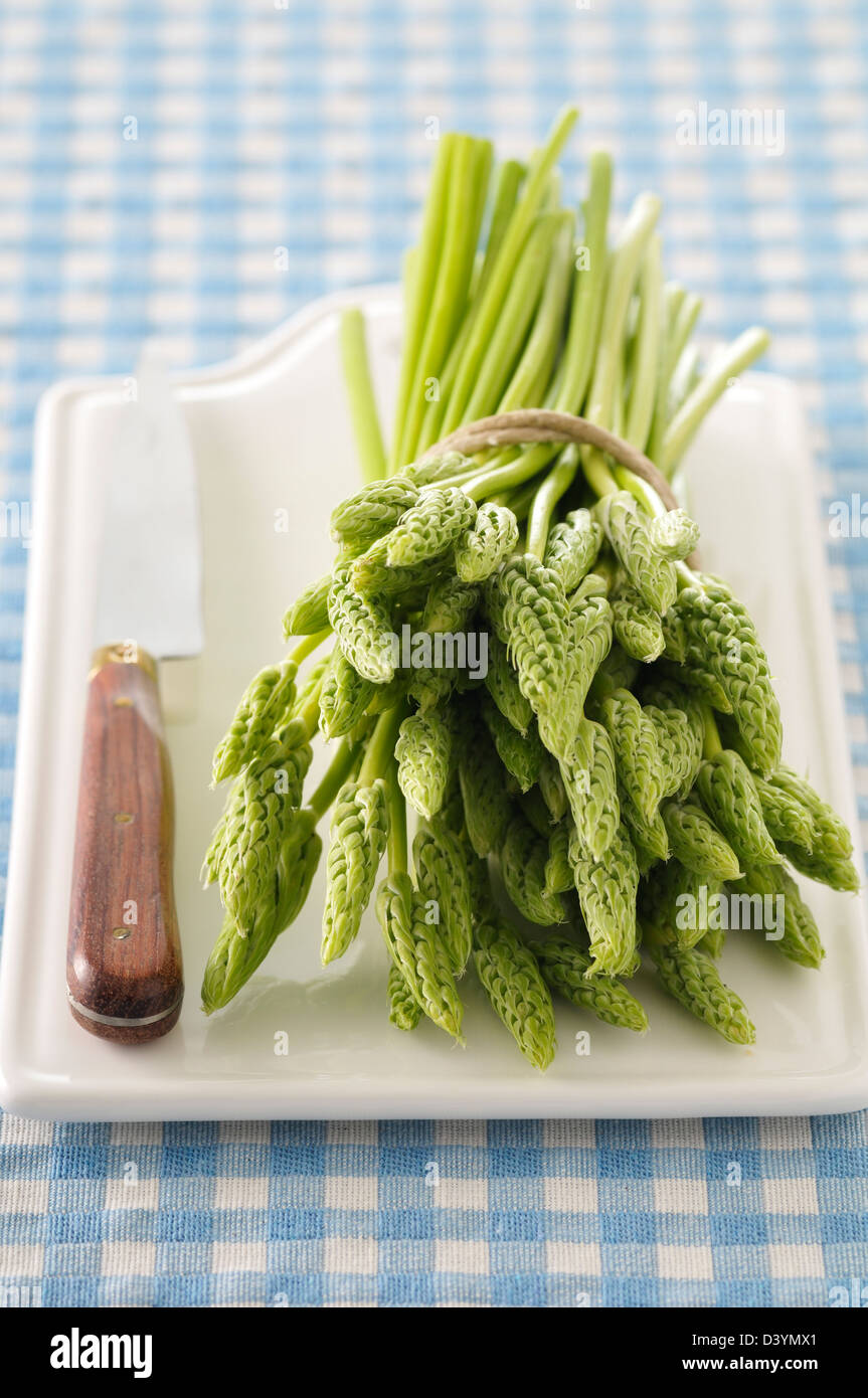 Wild Asparagus Stock Photo
