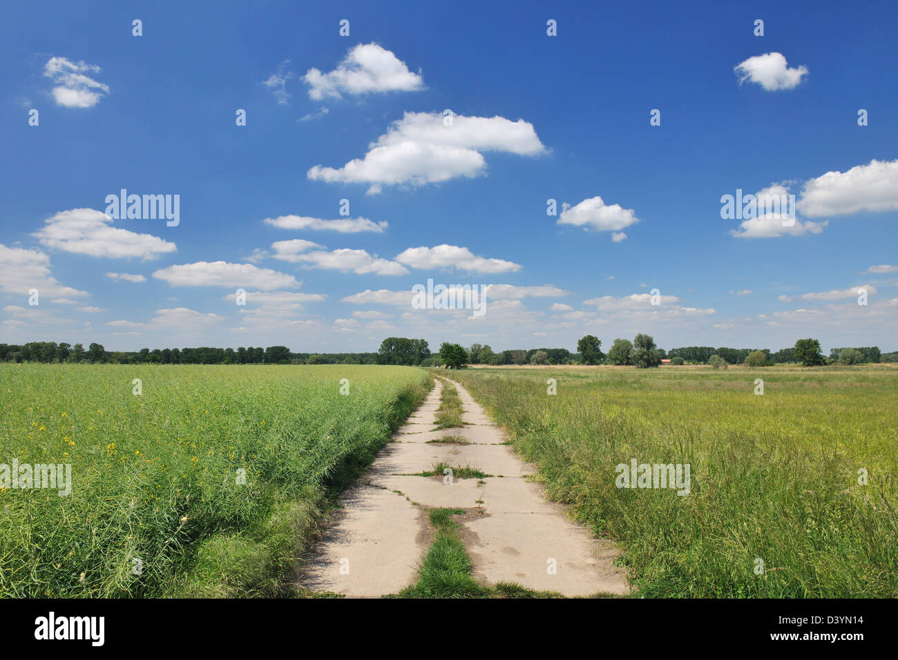 Dirt Road, Biebesheim, Hesse, Germany Stock Photo