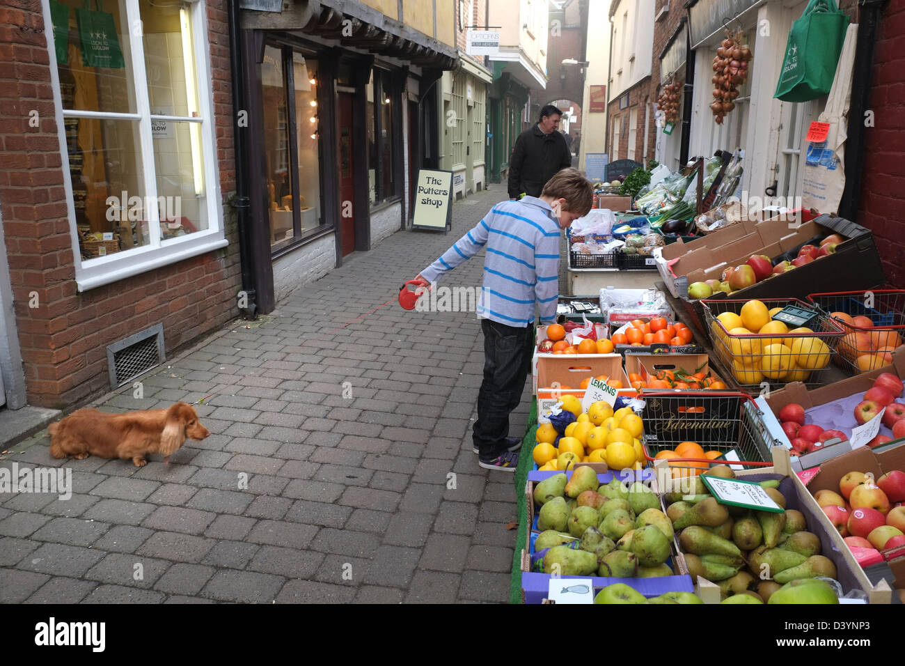 Boy with dog outside vegetable shop, Church Street, Ludlow, Shropshire, England, UK Stock Photo