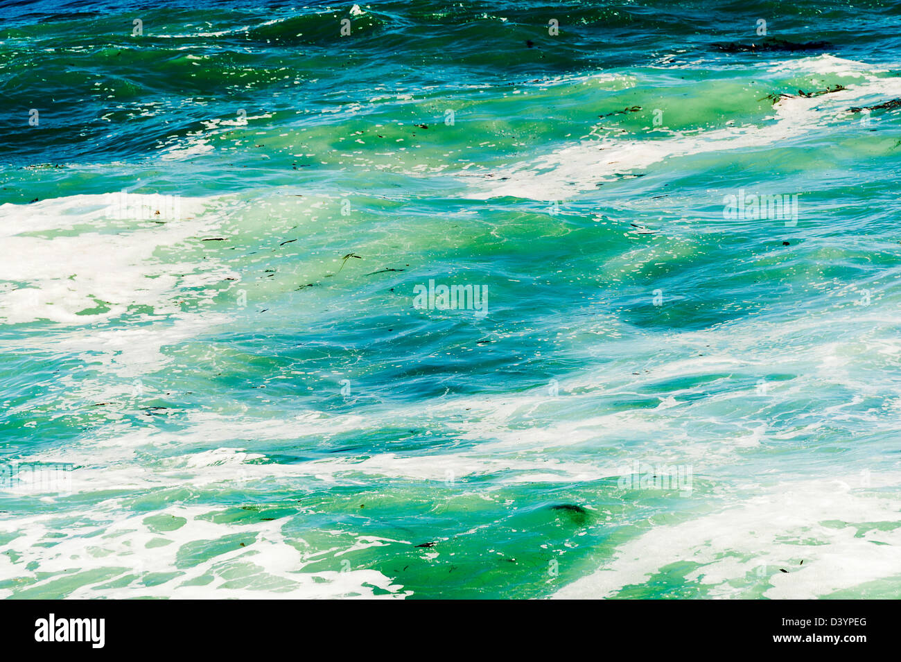 The Green Waters of the Pacific Ocean at La Jolla Cove San Diego California United States America USA Stock Photo