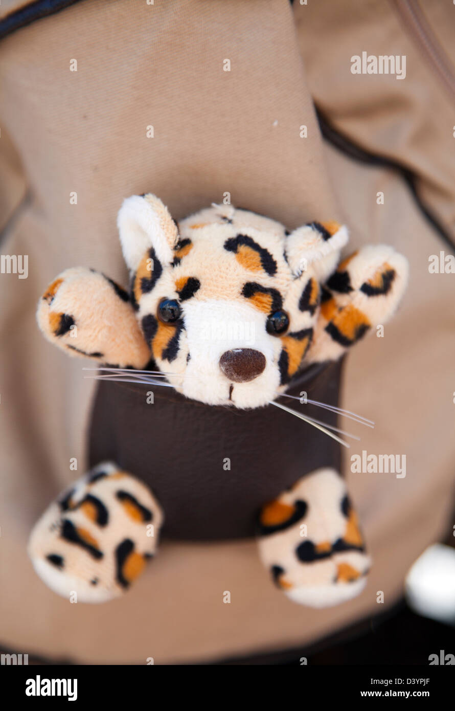 Toy leopard hi-res stock photography and images - Alamy