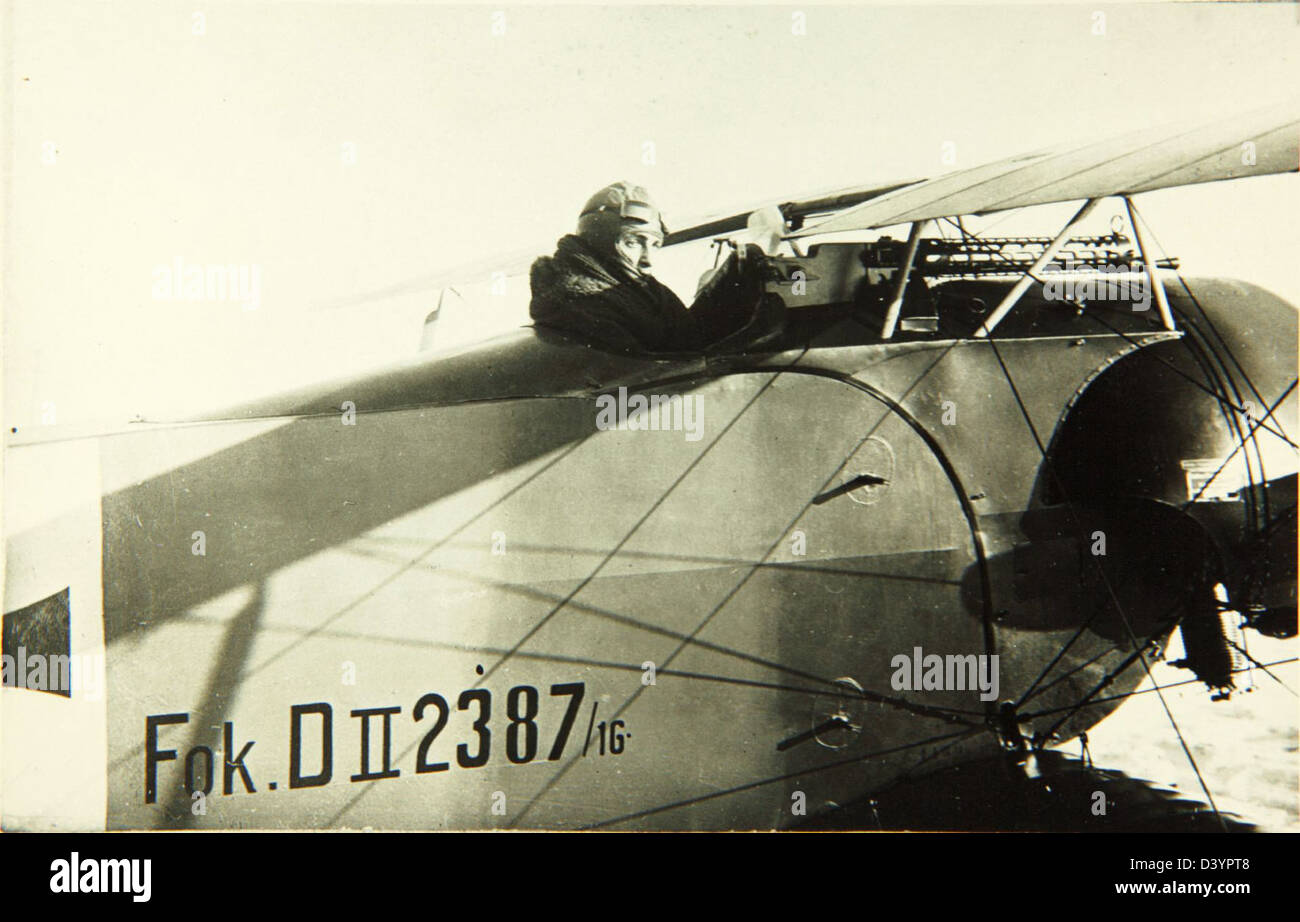 I. Fokker d. S d ii. V3 (d-2600 «иммельман»-iii). Сопвич триплан в ссср арт.