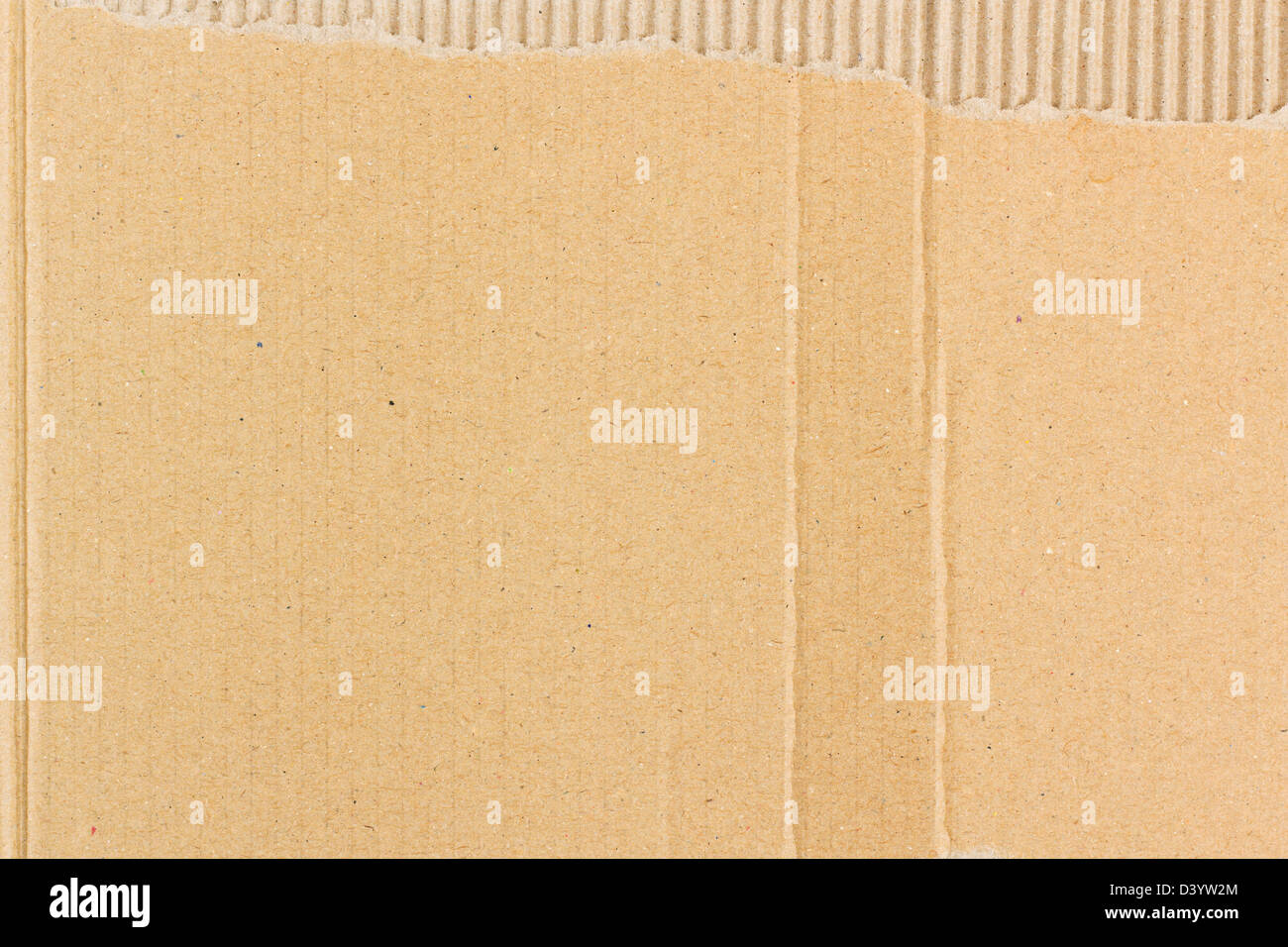 Background texture of corrugated cardboard Stock Photo