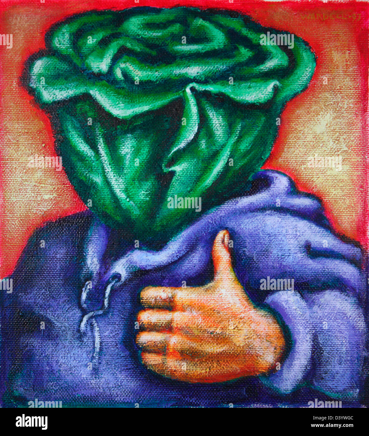 Illustration of Healthy Person with Lettuce for Head Stock Photo Alamy