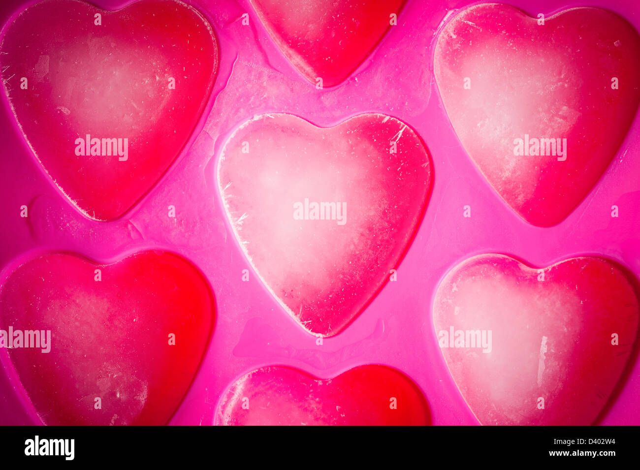 Heart-Shaped Ice Cubes in a Pink Ice Cube Tray Stock Photo