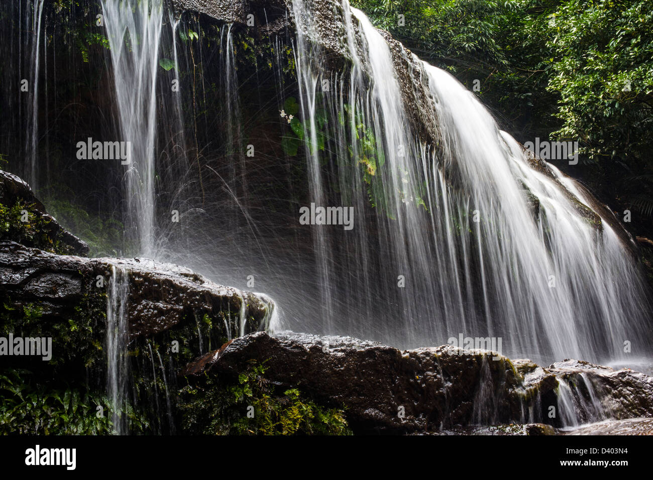 Close-up of Sangara Falls, Iriomote Island, Okinawa Prefecture, Japan. Stock Photo