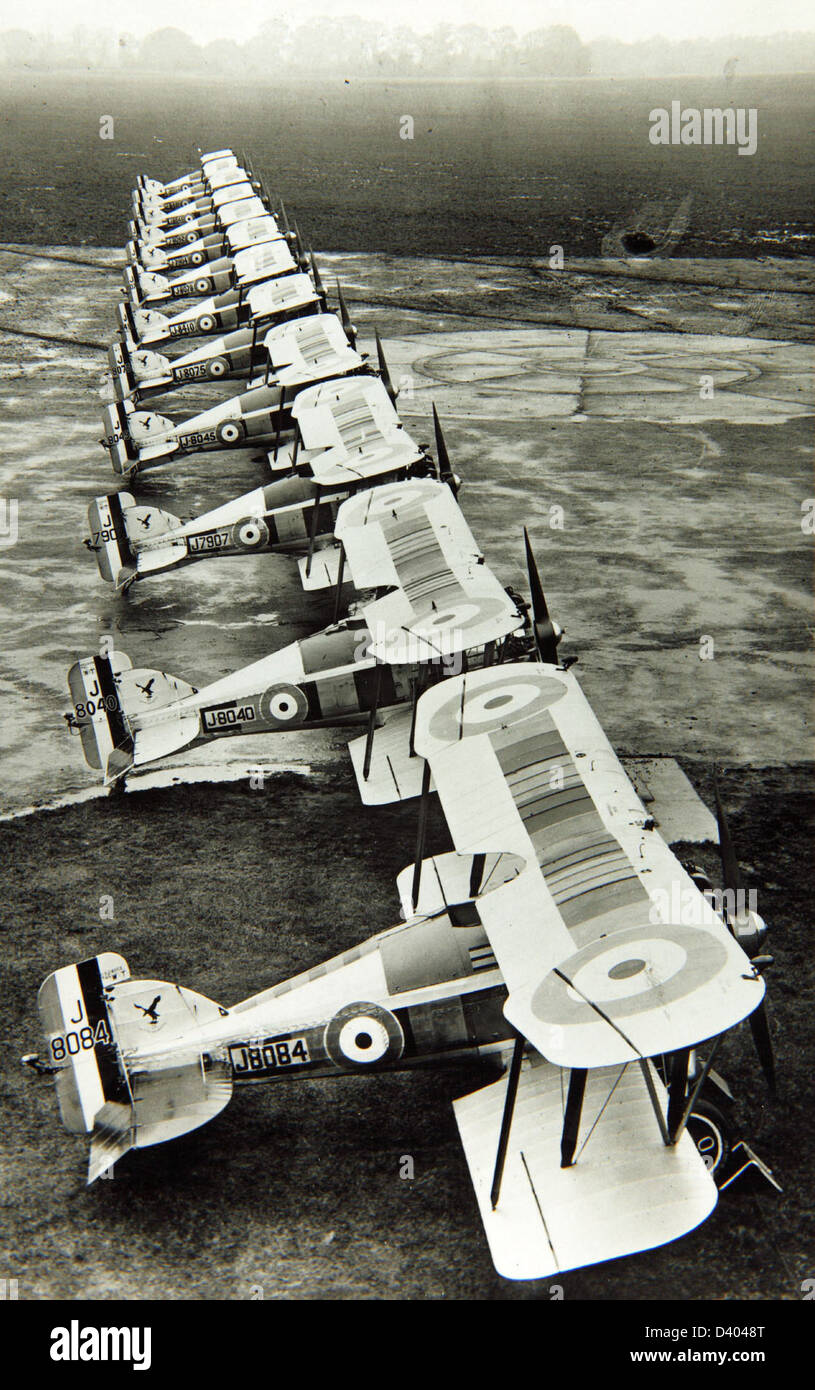 Gloster gamecock hi-res stock photography and images - Alamy