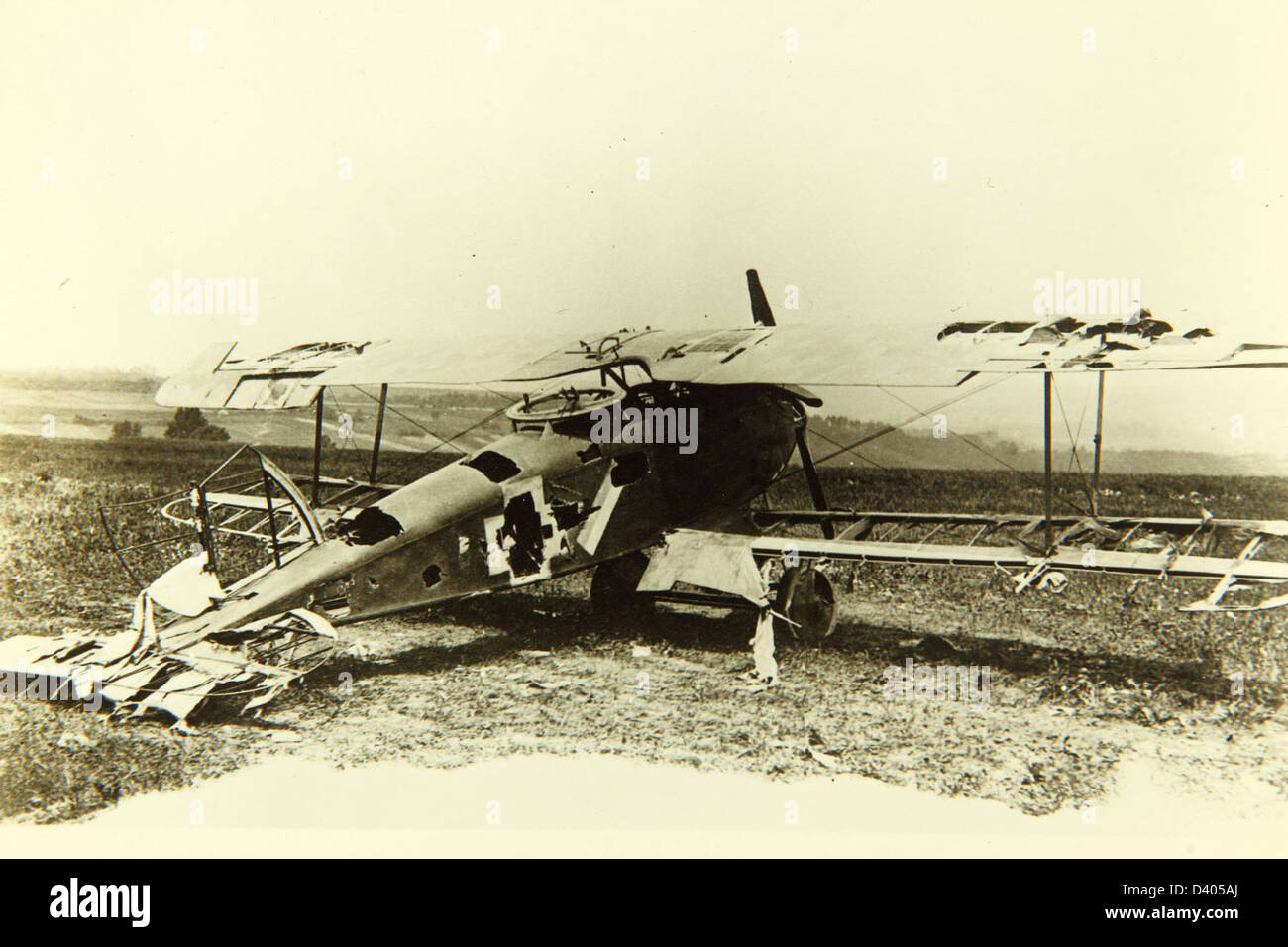 Halberstadt cl ii hires stock photography and images Alamy