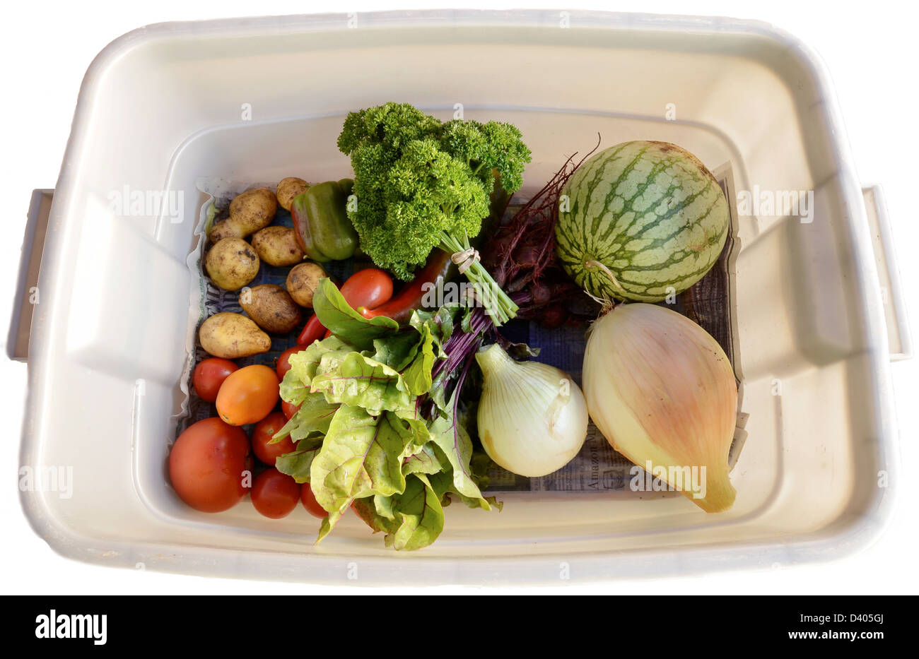 Plastic bin with a CSA (Community Supported Agriculture) share of freshly harvested produce from a farm in Joseph, Oregon. Stock Photo