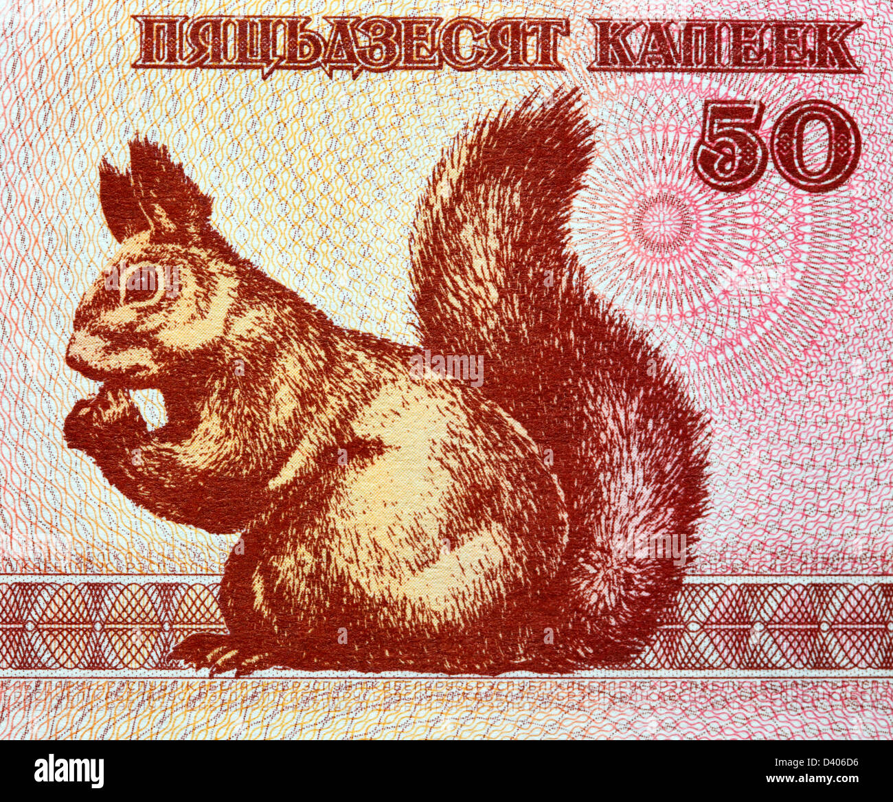 50 Kapeek banknote, Squirrel, Belarus, 1992 Stock Photo