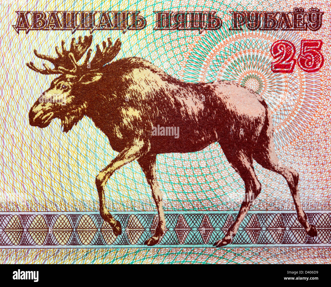 25 rubles banknote, Moose, Belarus, 1992 Stock Photo