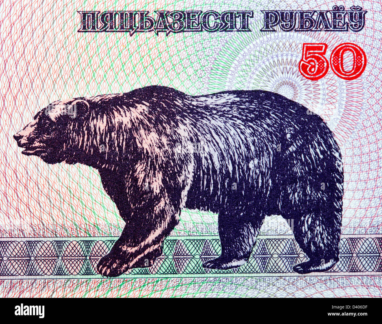 50 rubles banknote, Bear, Belarus, 1992 Stock Photo