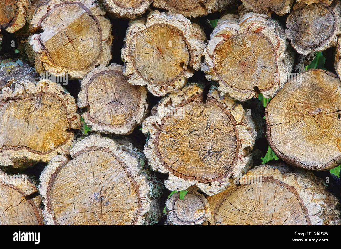 Holzstapel Korkeiche - stack of wood from cork oak 03 Stock Photo