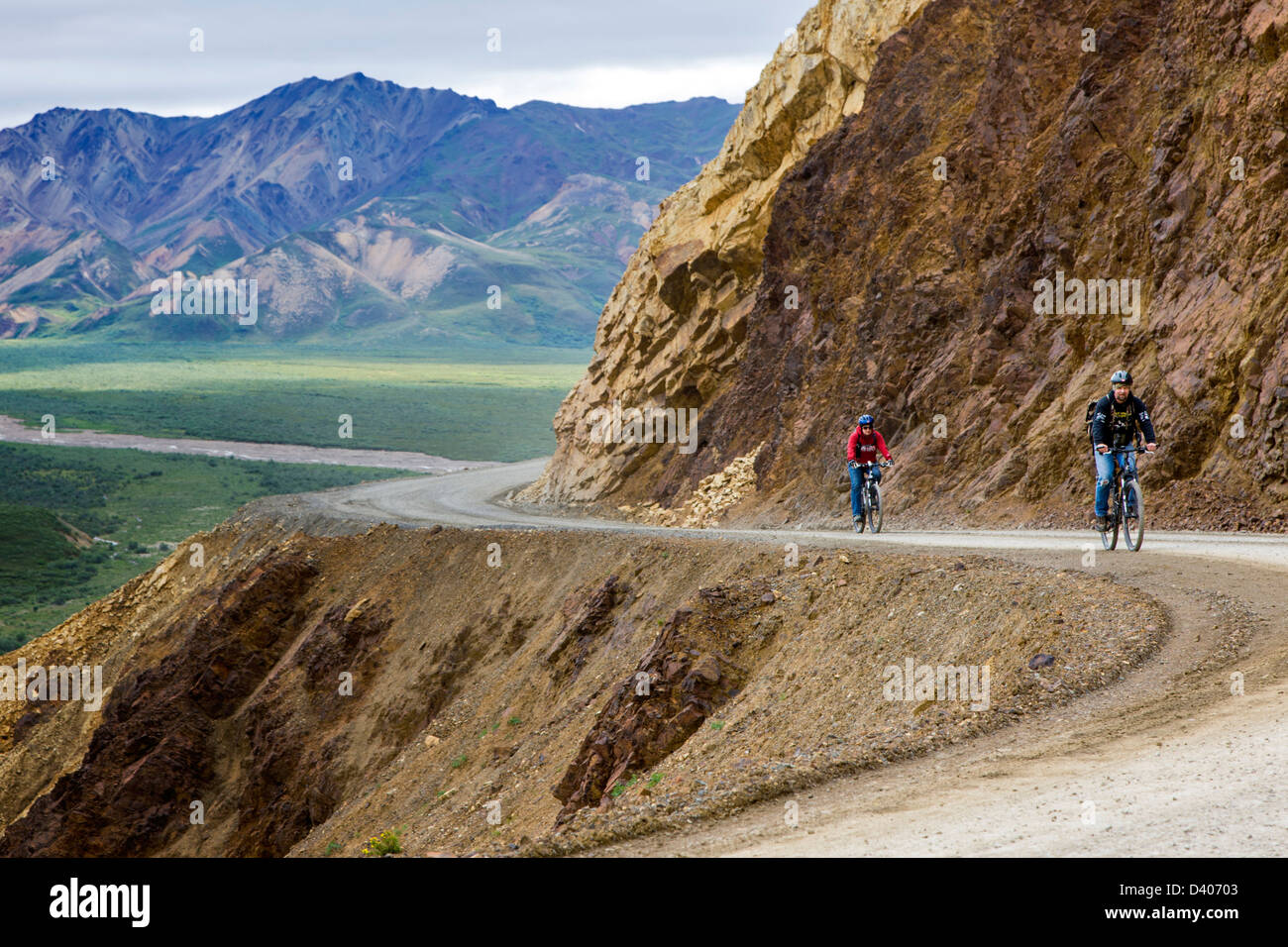 Cyclists ride on the limited access Denali Park Road, Denali National Park, Alaska, USA. Polychrome Pass Stock Photo