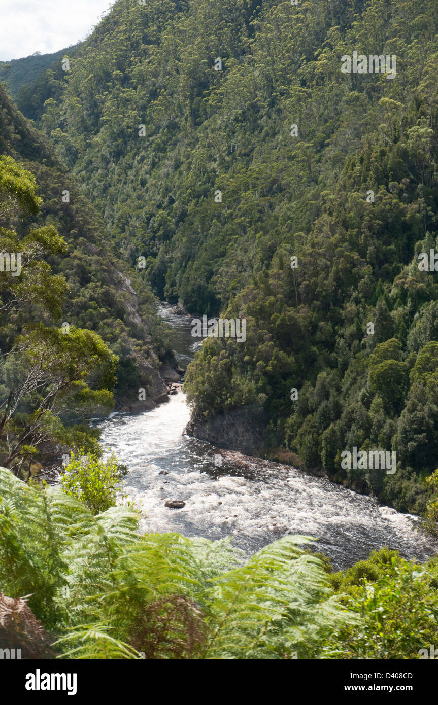 King River Gorge, beside the Abt or West Coast Wilderness Railway on Tasmania's West Coast Stock Photo