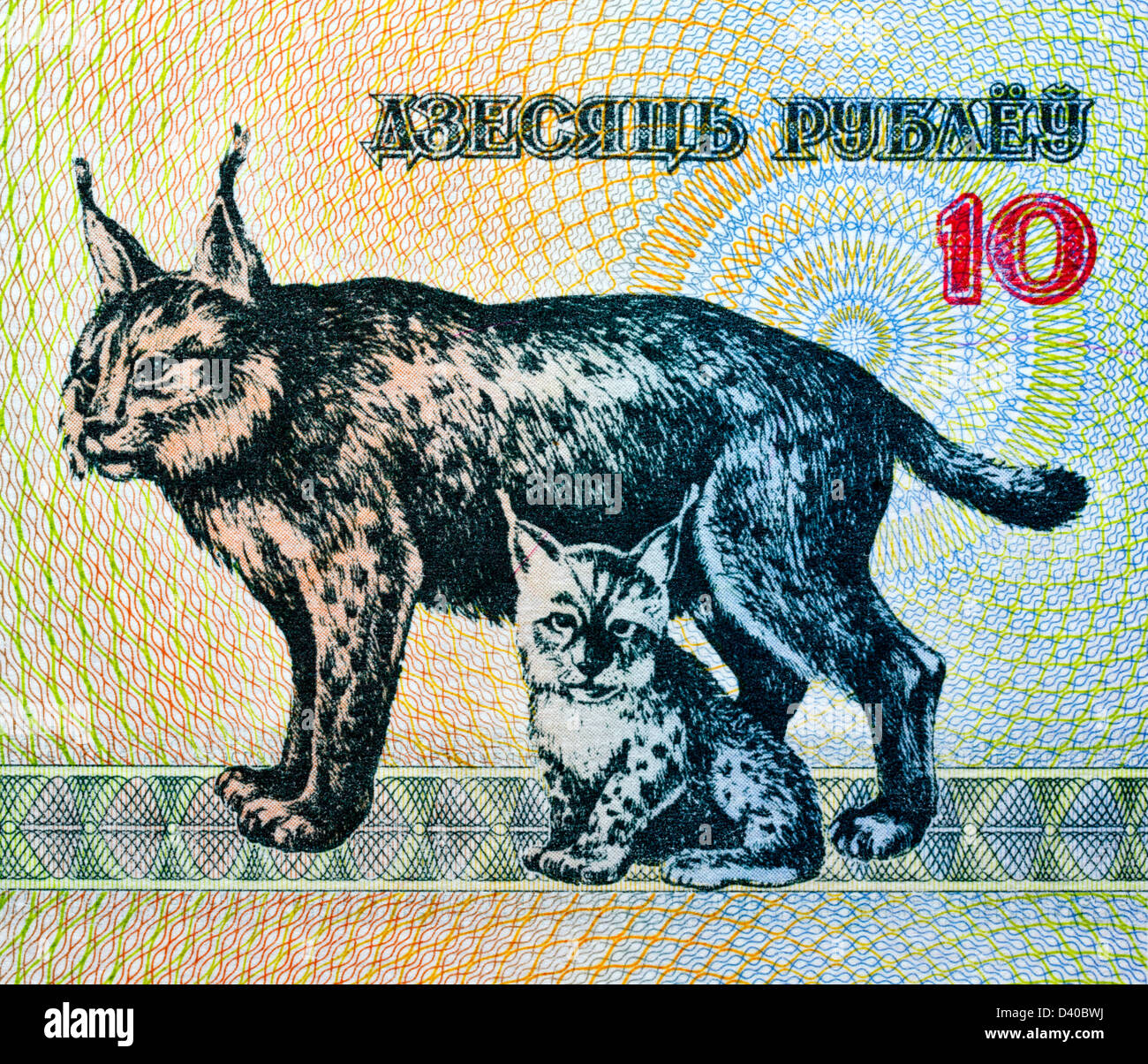 10 rubles banknote, Lynx with kitten, Belarus, 1992 Stock Photo
