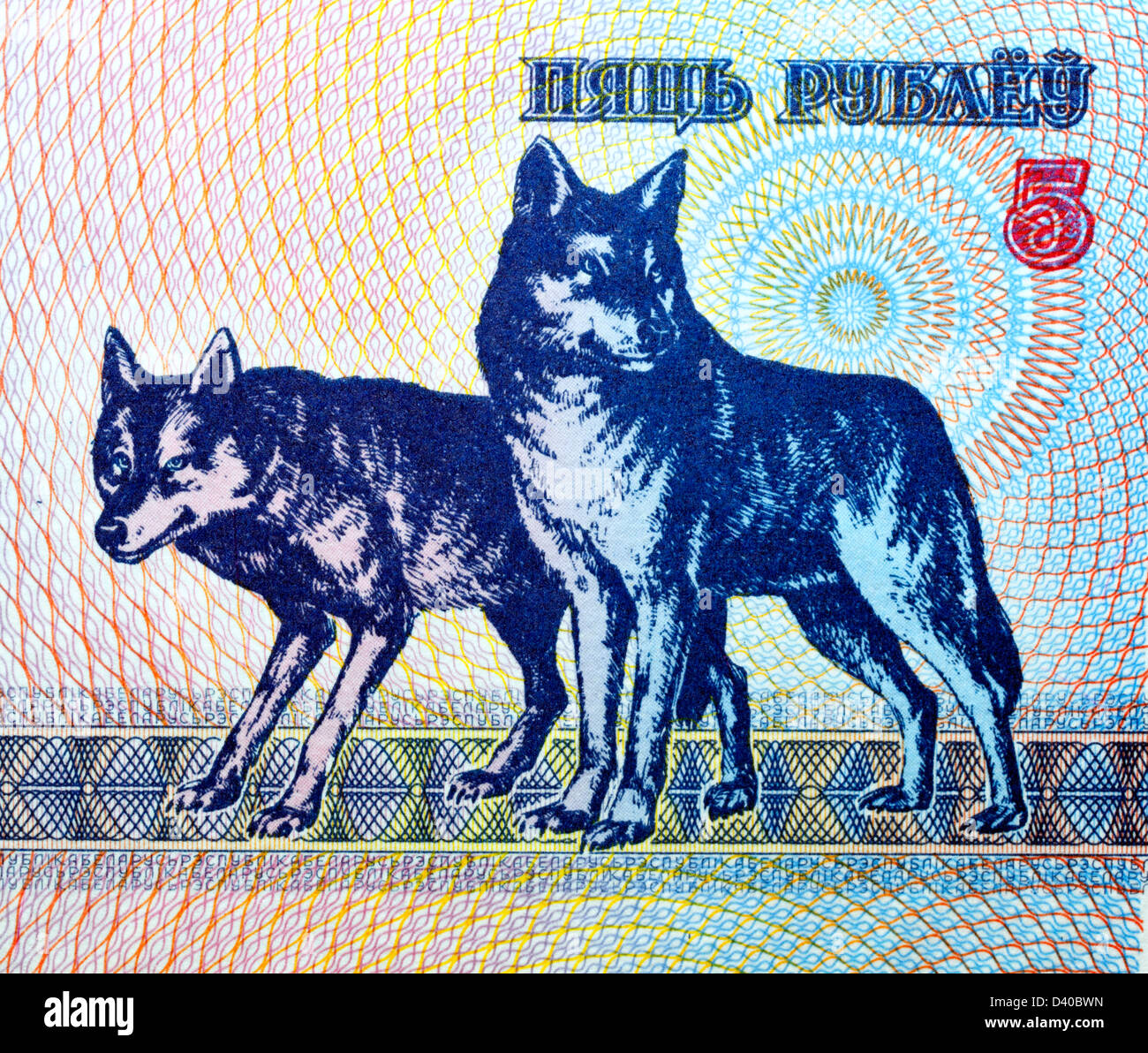 5 rubles banknote, two wolves, Belarus, 1992 Stock Photo