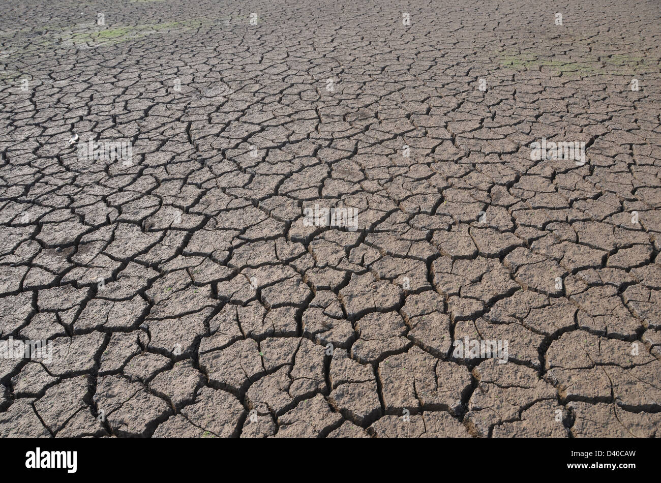 Dry land in South India Stock Photo - Alamy