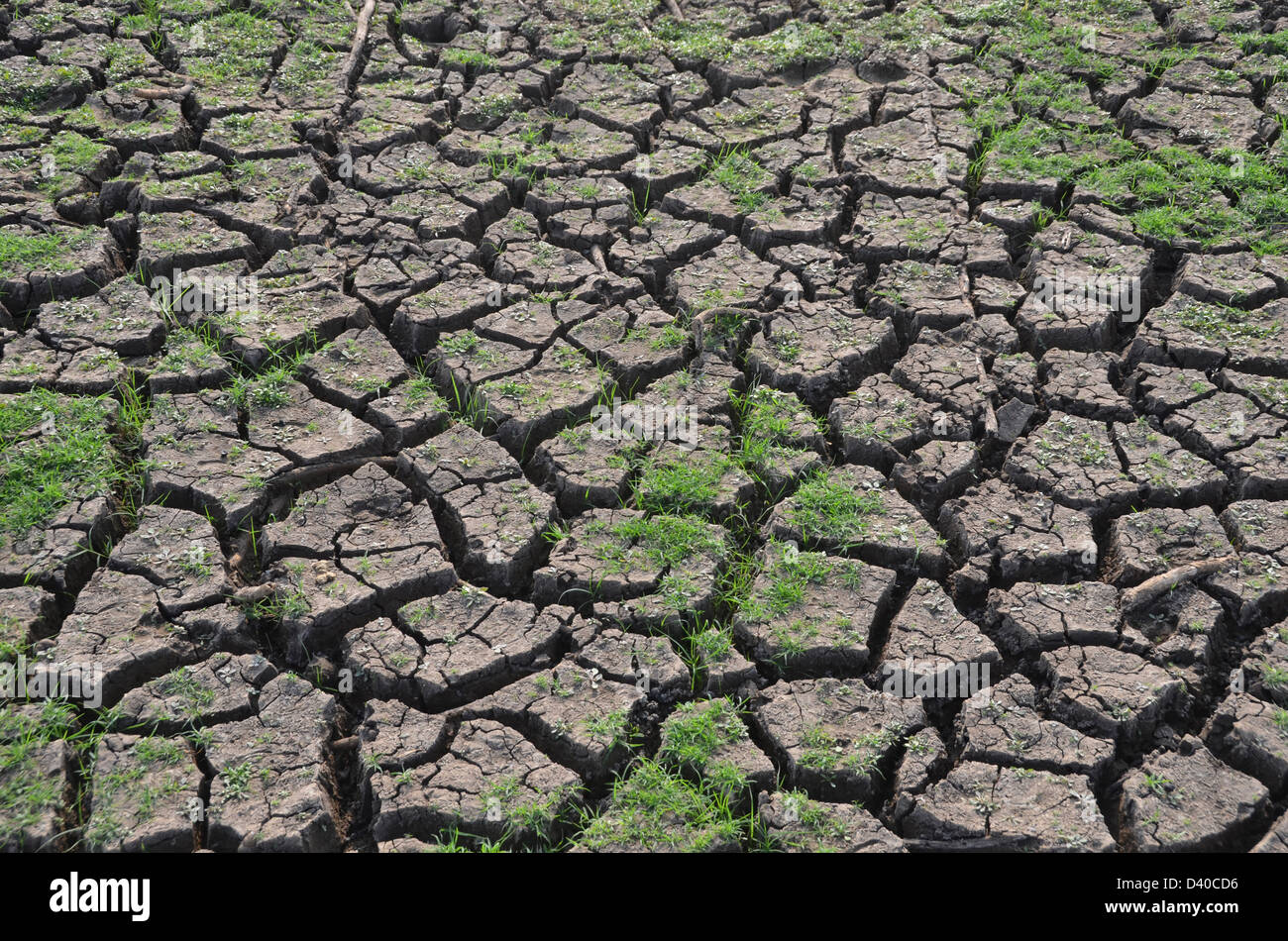 Dry land in South India Stock Photo - Alamy
