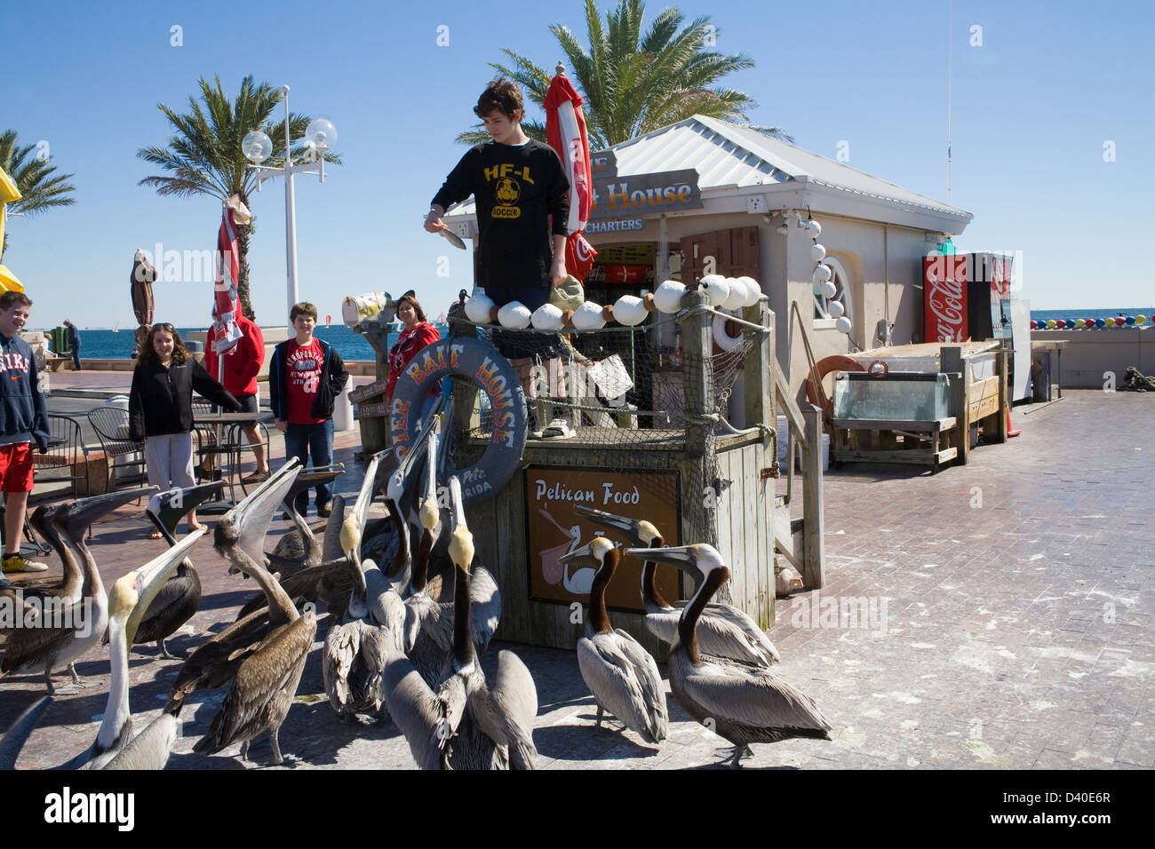 St Petersburg Florida USA Young boy feeding fish bought at Pier Bait