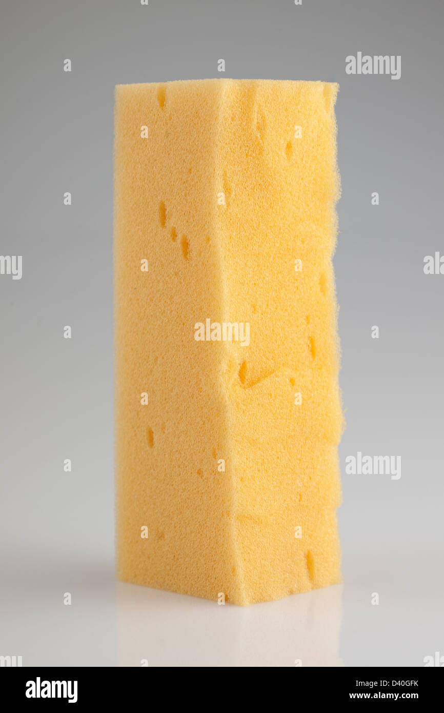 Piece of foam sponge cut in half halved Stock Photo