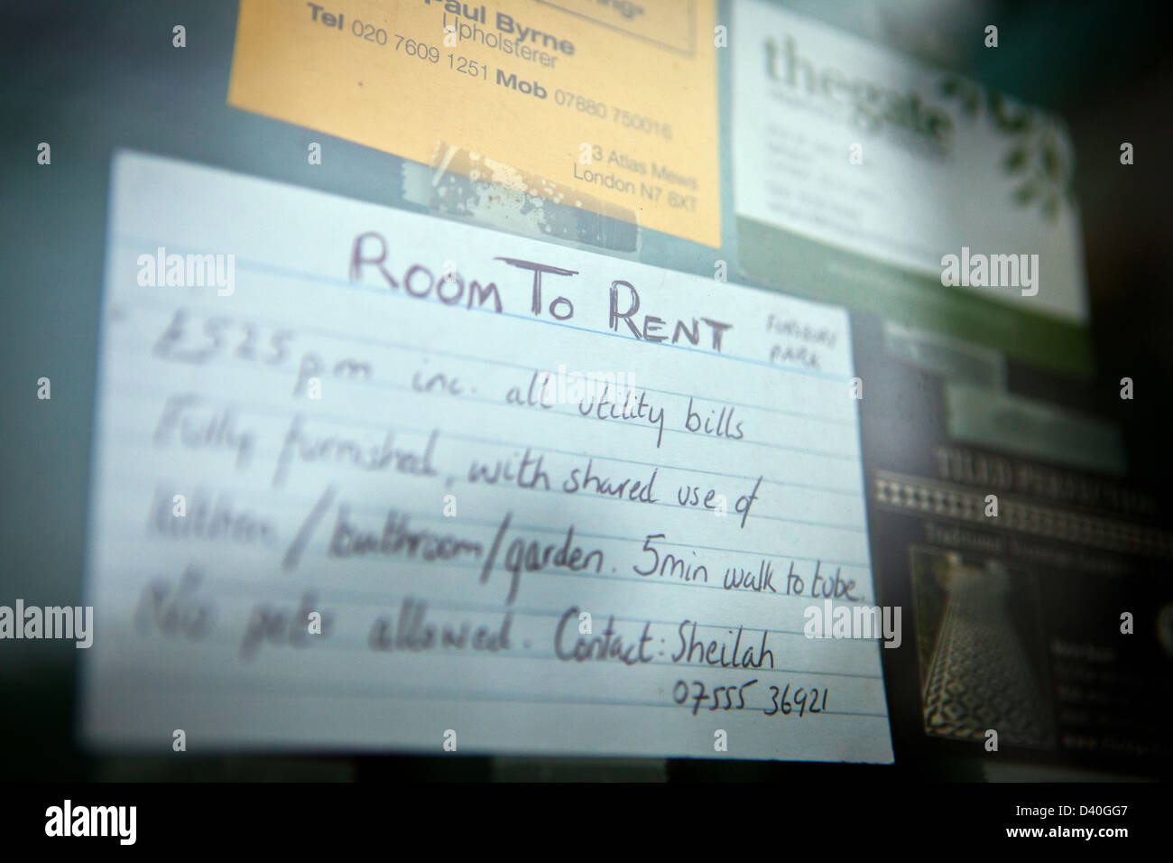 Room to Let sign in shop window Stock Photo