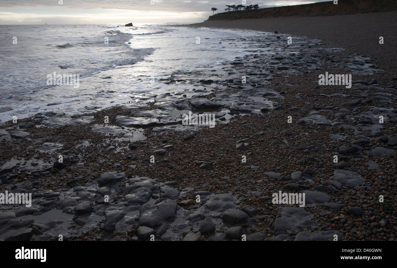 London Clay wave cut platform exposed at low tide on the beach at East ...