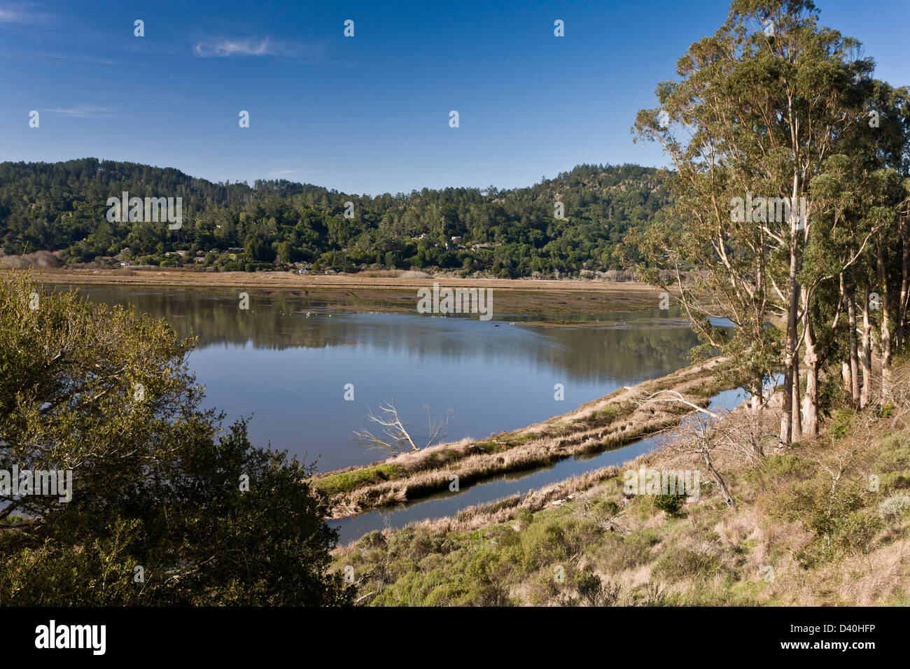Tomales bay ecological reserve - flooded part of the San Andreas Fault, Point Reyes Station, California, USA Stock Photo