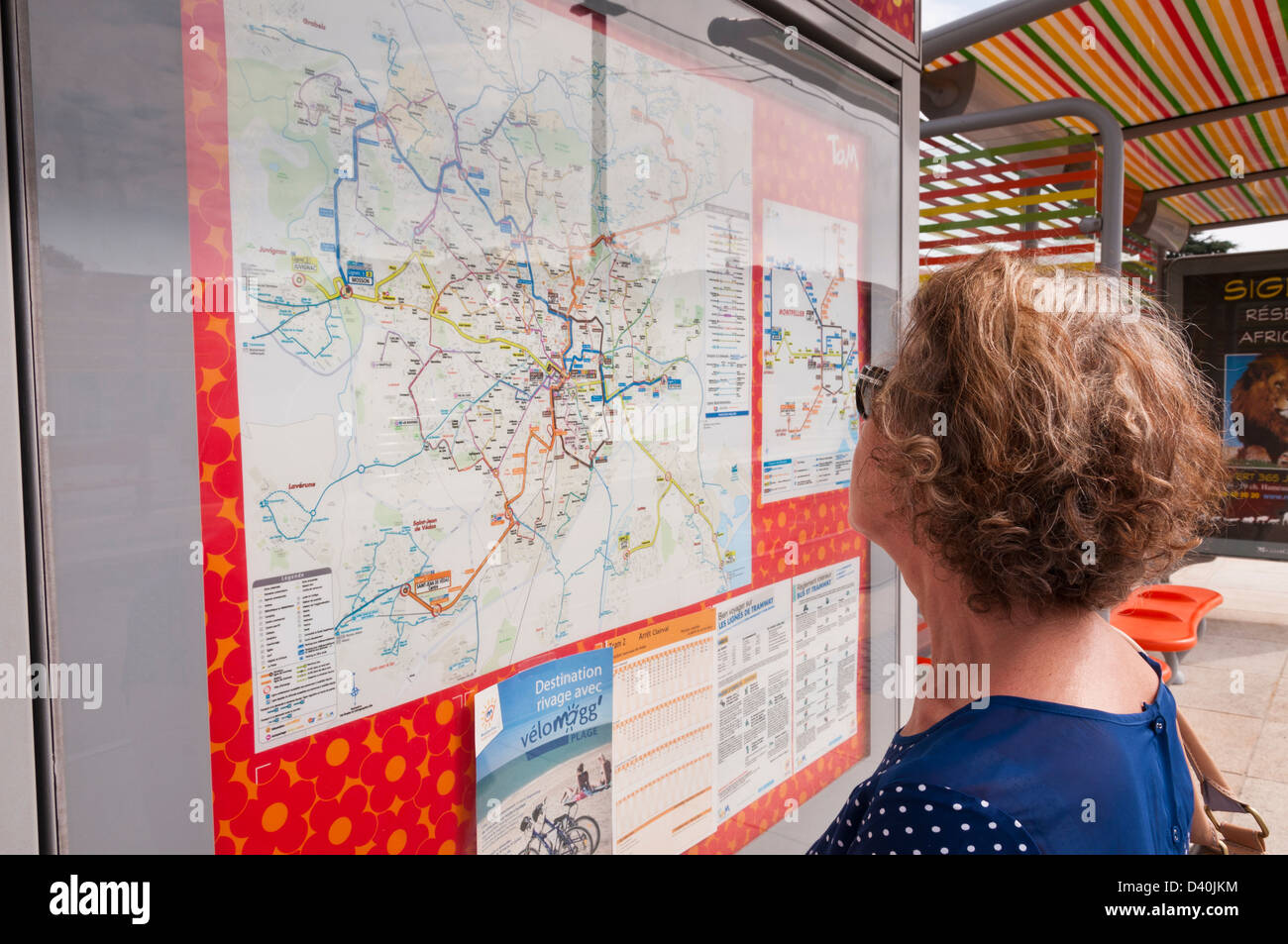 Woman looking at map of tramway, Montpellier, Hérault, Languedoc-Roussillon, France Stock Photo